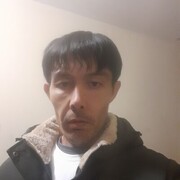  -,   , 41 ,   ,   