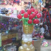 ���������� ���������, ���� ������� �������, 41 ���, ������������ 