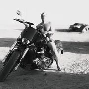  ,   , 41 ,   ,   