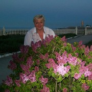 ���������� ������, ���� ������� �������, 69 ���, ������������ 