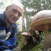 ���������� �����, ���� ������� �������, 61 ���, ������������ ��� ������, ����� � ���������, c�������� ���������