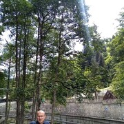  ,   Konstantine, 41 ,   ,   