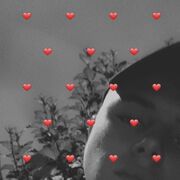 ���������� ��������, ���� ����� ������, 23 ����, ������������ ��� ������, ����� � ���������