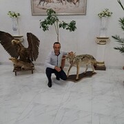 ���������� ���������� �����, ���� ������� �����, 40 ���, ������������ ��� ������, ����� � ���������