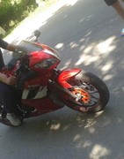 ���������� �������, ���� ������� Shamshod, 36 ���, ������������ ��� ������, ����� � ���������, c�������� ���������