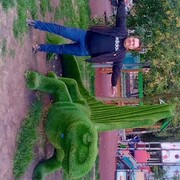 ���������� ������, ���� ������� ����, 40 ���, ������������ ��� ������, ����� � ���������, c�������� ���������, ���������