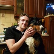 ���������� �����-���������, ���� ������� �������, 38 ���, ������������ ��� ������, ����� � ���������