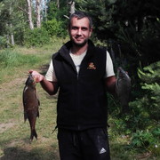 ,   Desex, 43 ,   ,   , c 
