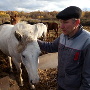 ���������� ���������� �����, ���� ������� ������, 55 ���, ������������ ��� ����� � ���������, c�������� ���������