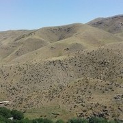 ���������� �����-���������, ���� ������� �����, 34 ����, ������������ ��� ������, ����� � ���������, c�������� ���������, ���������