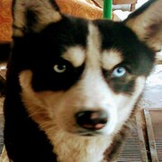 ���������� �������, ���� ������� Sergey, 50 ���, ������������ ��� ������, ����� � ���������, c�������� ���������