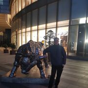 ���������� �������, ���� ������� �����, 34 ����, ������������ ��� c�������� ���������