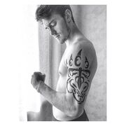 ���������� ���������, ���� ������� ������, 28 ���, ������������ ��� ������, ����� � ���������