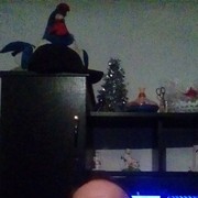  ,   , 51 ,  