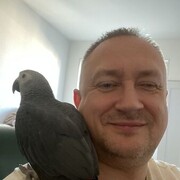 ���������� �����-���������, ���� ������� �������, 50 ���, ������������ ��� ������, ����� � ���������