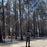 ���������� �����������, ���� ������� Faxri, 37 ���, ������������ ��� ������, ����� � ���������