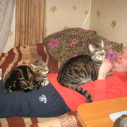 ���������� �����, ���� ������� ��������, 46 ���, ������������ ��� ����� � ���������, c�������� ���������