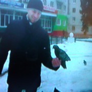  ,   Max, 38 ,   