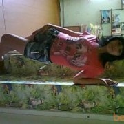  ,   , 35 ,  