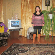  ,   , 43 ,   ,   
