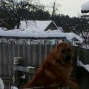  ,   Viktor, 61 ,   