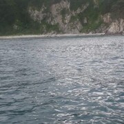 ���������� ���������, ���� ������� �����, 43 ����, ������������ ��� ������, ����� � ���������