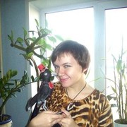  ,   78, 32 ,   ,   , c 