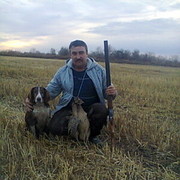 ���������� �����������, ���� ������� ������, 50 ���, ������������ ��� ������