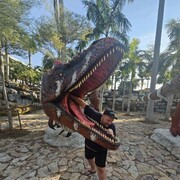 ���������� ������, ���� ������� ����, 41 ���, ������������ ��� ����� � ���������, c�������� ���������