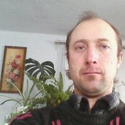  ,  , 53