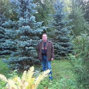 ���������� �����������, ���� ������� ���������, 61 ���, ������������ ��� c�������� ���������