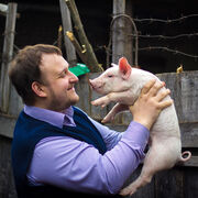 ���������� �������, ���� ������� ��������, 42 ����, ������������ ��� c�������� ���������