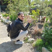 ���������� ����-���������, ���� ������� Roman, 30 ���, ������������ ��� ������, ����� � ���������