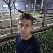  ,   , 37 ,   c 