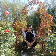  ,  Nar, 34