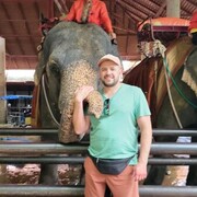 ���������� �������, ���� ������� �����, 37 ���, ������������ ��� ����� � ���������