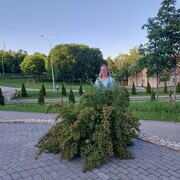 ���������� �������, ���� ������� �������, 39 ���, ������������ ��� ������, ����� � ���������, c�������� ���������