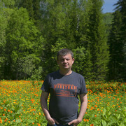 ���������� �����-�������, ���� ������� ���������, 51 ���, ������������ 