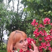  ,   , 55 ,  