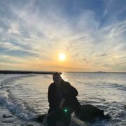 ���������� �����������, ���� ����� �����, 24 ����, ������������ ��� ������, ����� � ���������