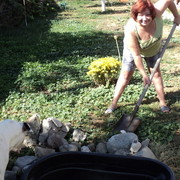 ���������� ��������, ���� ������� �����, 55 ���, ������������ ��� ������, ����� � ���������, c�������� ���������