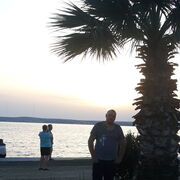 ���������� ������, ���� ������� ������, 41 ���, ������������ ��� ������, ����� � ���������, c�������� ���������