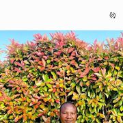 ���������� ���������, ���� ������� ����������, 34 ����, ������������ ��� ������, ����� � ���������, c�������� ���������