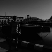  ,  fish, 62