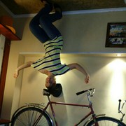 ���������� �����, ���� ������� ������, 38 ���, ������������ ��� ������, ����� � ���������, c�������� ���������