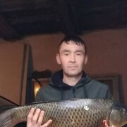  ,  , 44