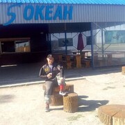  ,   , 50 ,   ,   