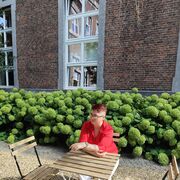  Sint-Truiden,   , 27 ,   c , 