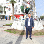  ,   , 45 ,   ,   , c 