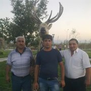  ,   Alisafa, 53 ,   